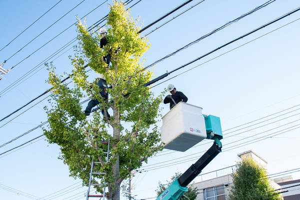 頑張りはしっかり評価