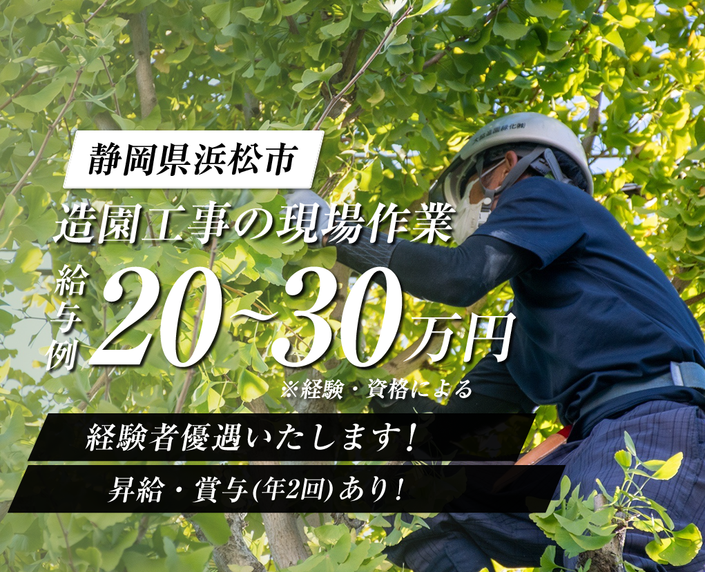 浜松市の大協造園緑化株式会社では造園工事の求人を募集しています。